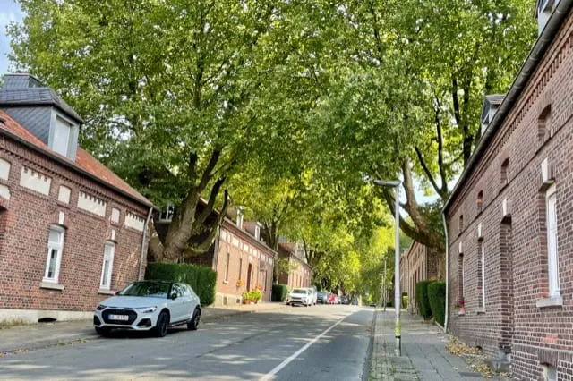 Straße mit alten Backsteinhäusern der Bergarbeitersiedlung unter hohen Laubbäumen.